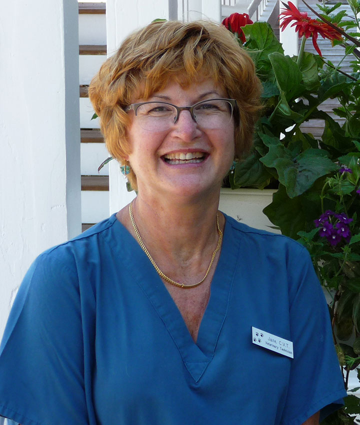 Jane Harvey